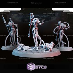 Necroyd Tomb Lords Campaign STL Miniatures