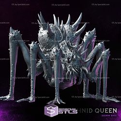 Queen of the Damned Campaign STL Miniatures