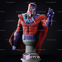 Simple STL Collection - Magneto Bust