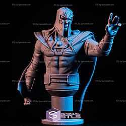 Simple STL Collection - Magneto Bust