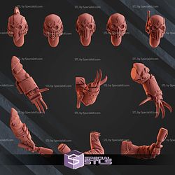 Vultures Horde Campaign STL Miniatures