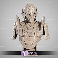Darth Bane Portrait Bust 3D Printer Files