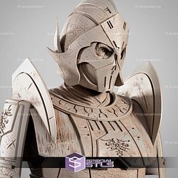 Darth Bane Portrait Bust 3D Printer Files