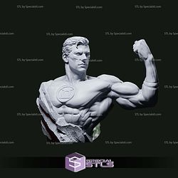 Guardians Universe Green Lantern Bust 3D Printer Files