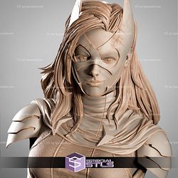 Huntress DC Hero Portrait Bust 3D Printer Files