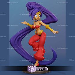 Shantae Various Version 3D Printer Files