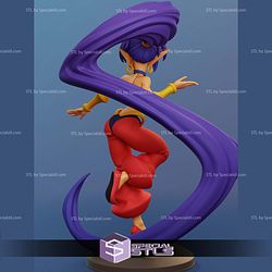 Shantae Various Version 3D Printer Files