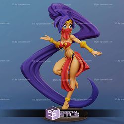 Shantae Various Version 3D Printer Files