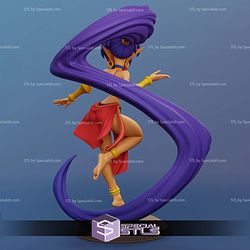 Shantae Various Version 3D Printer Files