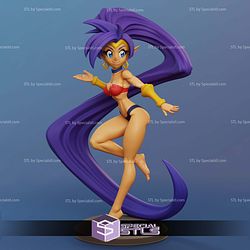 Shantae Various Version 3D Printer Files