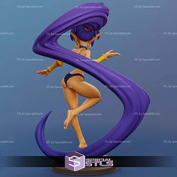 Shantae Various Version 3D Printer Files