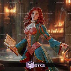 Triss Merigold The Witcher 1-8 3D Printer Files