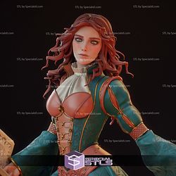 Triss Merigold The Witcher 1-8 3D Printer Files