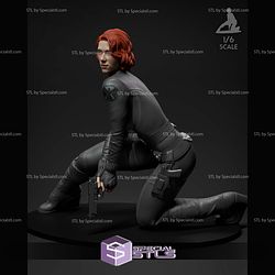 Black Widow Mission 1-6 3D Printer Files