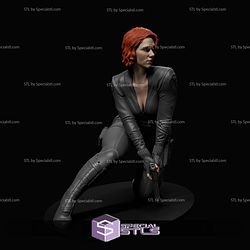 Black Widow Mission 1-6 3D Printer Files