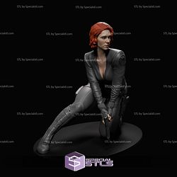 Black Widow Mission 1-6 3D Printer Files