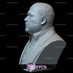 Bust Portrait STL Collection - Wilson Fisk Kingpin