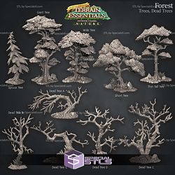 Terrain Essentials Nature Forest Terrain Campaign STL Miniatures