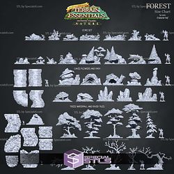 Terrain Essentials Nature Forest Terrain Campaign STL Miniatures