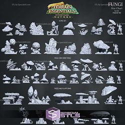 Terrain Essentials Nature Fungi Terrain Campaign STL Miniatures