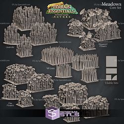 Terrain Essentials Nature Meadows Terrain Campaign STL Miniatures