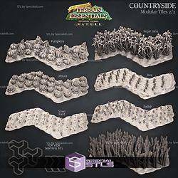 Terrain Essentials Nature Meadows Terrain Campaign STL Miniatures