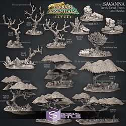 Terrain Essentials Nature Savanna Terrain Campaign STL Miniatures