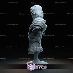 Viktor Arcane Bust 3D Printer Files