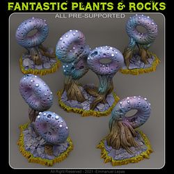 October 2021 Fantastic Plants & Rocks Miniatures