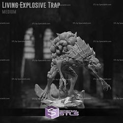 April 2025 Claymore Miniatures
