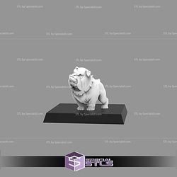 April 2025 Durgin Paint Forge Miniatures