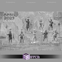 April 2025 Madox Historical Miniatures