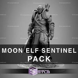 April 2025 Rescale Lord of Print Miniatures