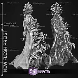 February 2025 Printed Obsession Miniatures