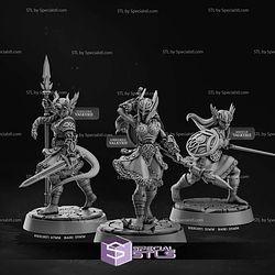 January 2025 Cast N Play Miniatures