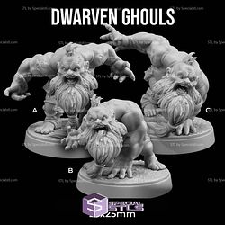 March 2025 Dungeon Classics Miniatures