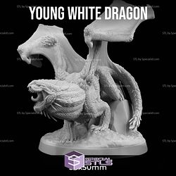 March 2025 Dungeon Classics Miniatures