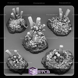 March 2025 Fantastic Plants and Rocks Miniatures