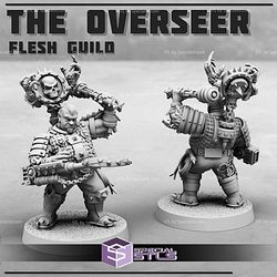 March 2025 Print Minis Miniatures