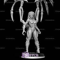 March 2025 RN Estudio Miniatures
