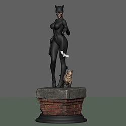 Catwoman V4 from DC