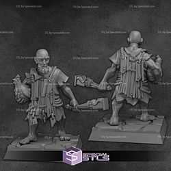 March 2025 Vae Victis Miniatures