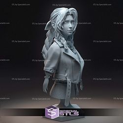 Aerith and The Guard Stick Bust STL Files