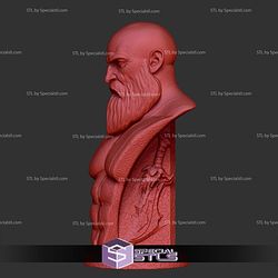 Basic STL - Kratos Bust