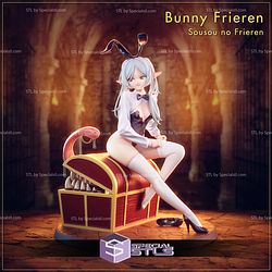 Bunny Frieren and Mimic Chest STL Files