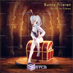 Bunny Frieren and Mimic Chest STL Files