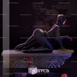 Catwoman Crawling on Wall STL Files