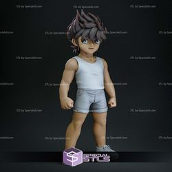 Kid Seiya 1-10 STL Files