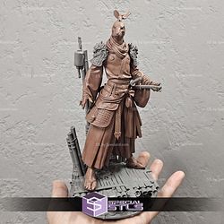 Rabbit Samurai Fanart STL Files
