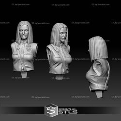 Sandra Bullock Demolition Man 1993 STL Files